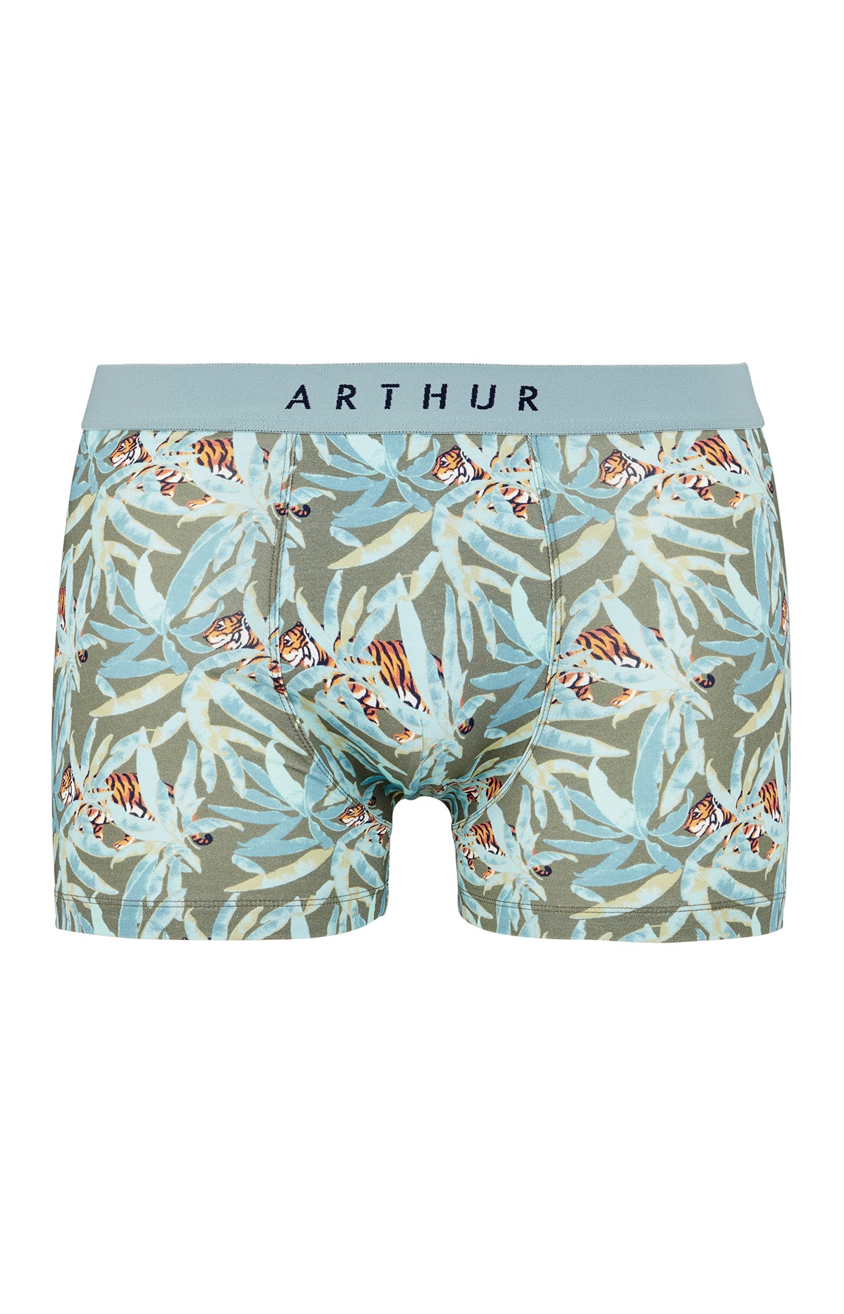 arthur-bob-boxer-coton-bio-kaki-tigre image 3