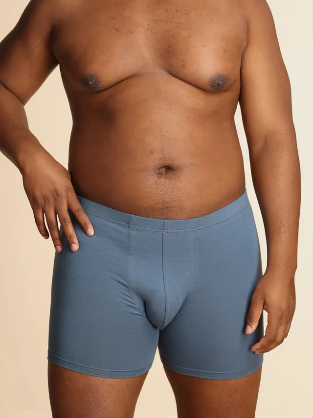 p-trone-boxer-confort-boxer-homme-grandes-tailles-coton-bio image 1