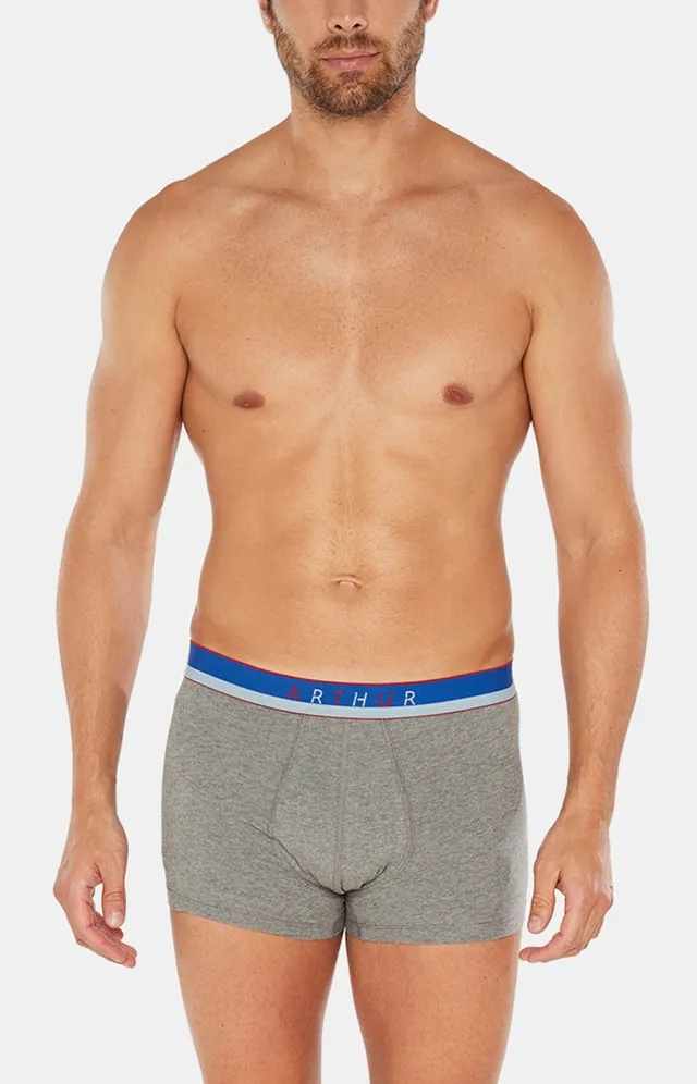 arthur-bob-boxer-slipp-uni-boxer-gris-coton-bio image 1