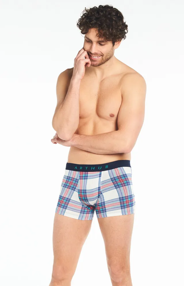 arthur-bob-logan-boxer-homme-multicolore-coton-bio image 1