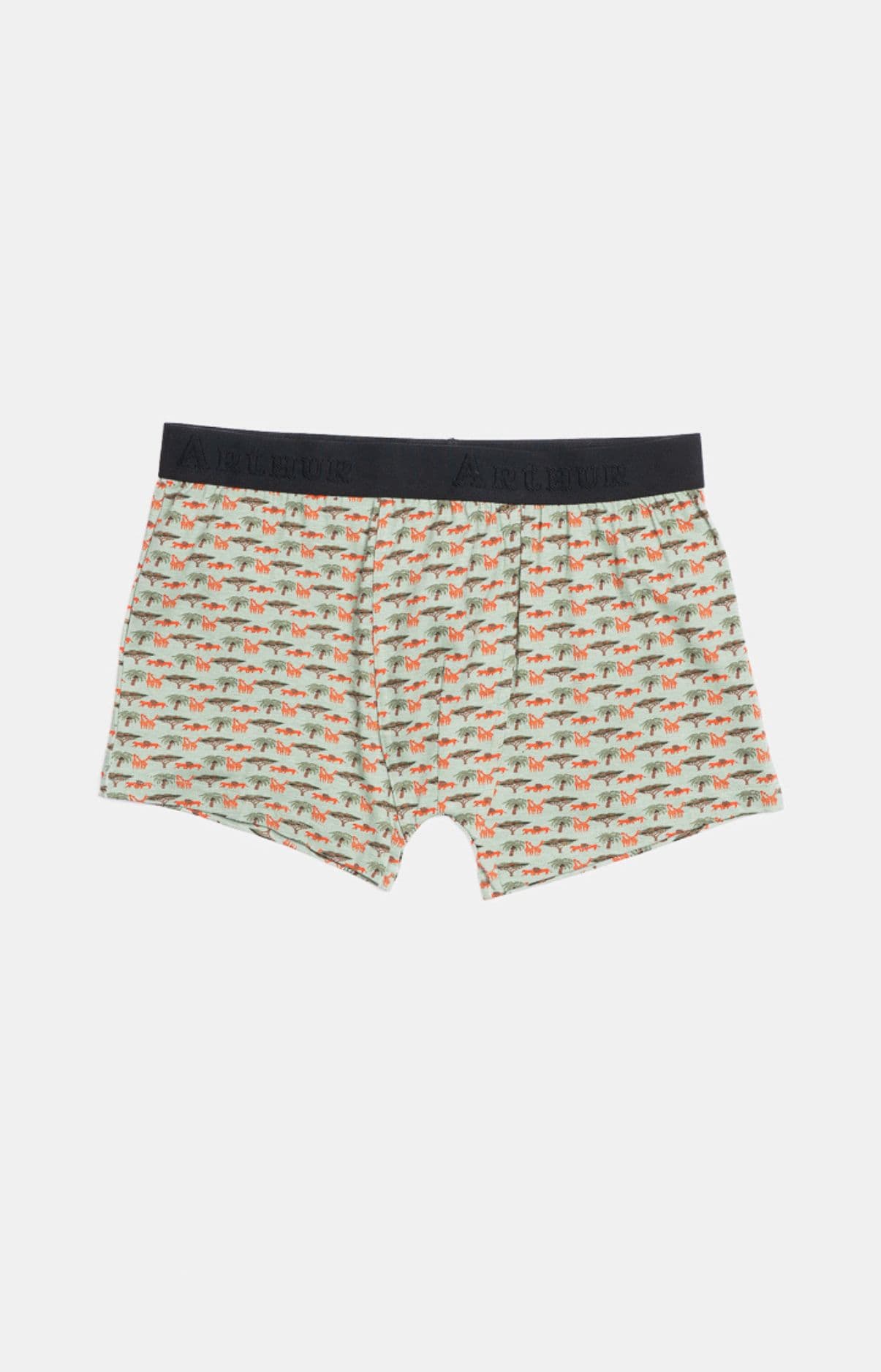arthur-bob-boxer-jersey-coton-savane-vert-kaki image 3