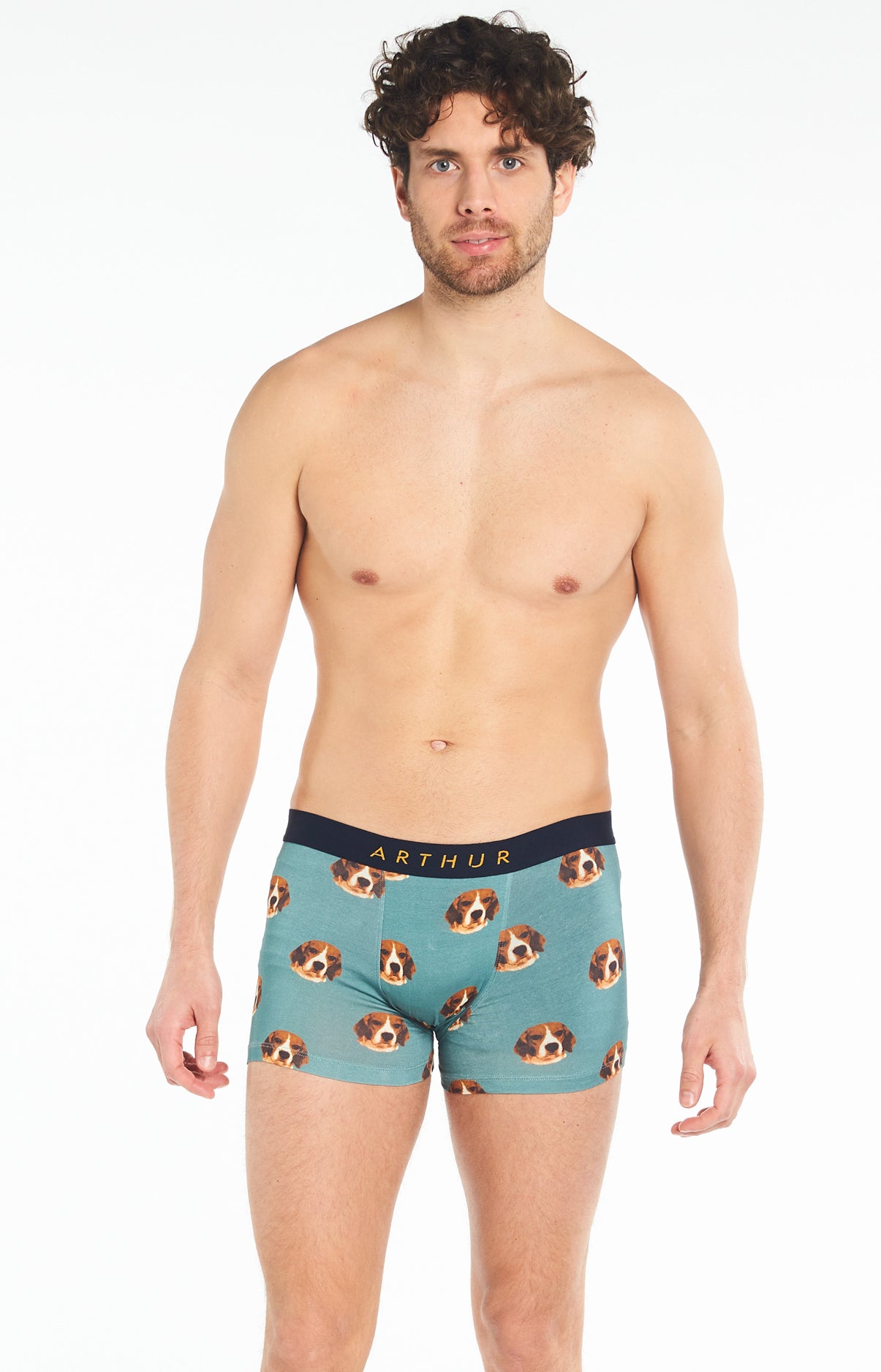 arthur-bob-beagle-boxer-homme-celadon-coton-bio image 2