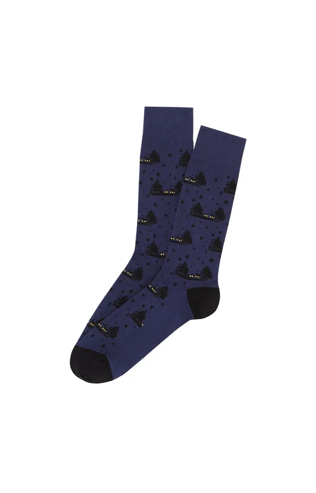 arthur-bob-nuit-d-hiver-chaussettes-marine-coton-bio image 1