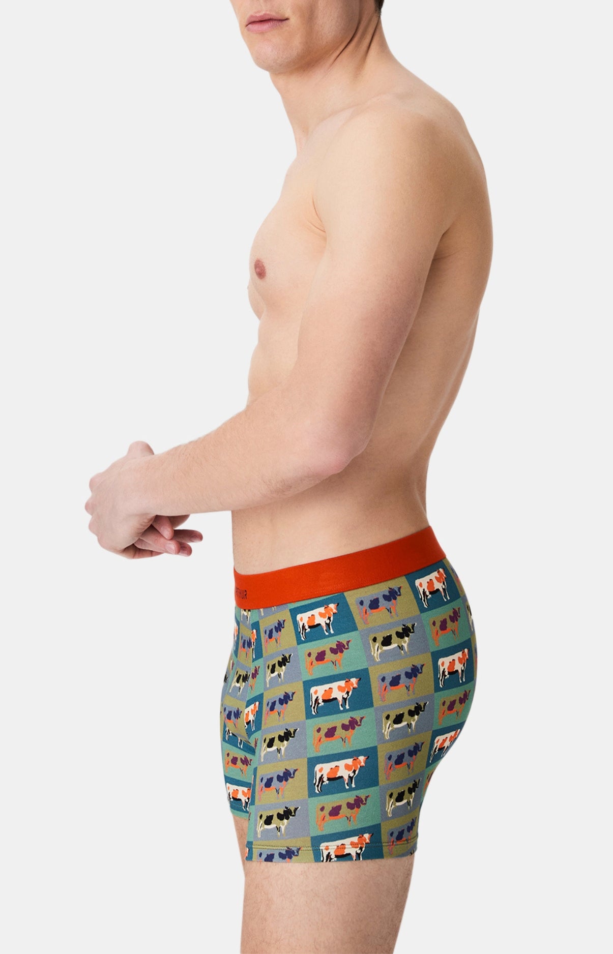 arthur-bob-pop-vache-boxer-homme-coton-bio-multicolore image 5