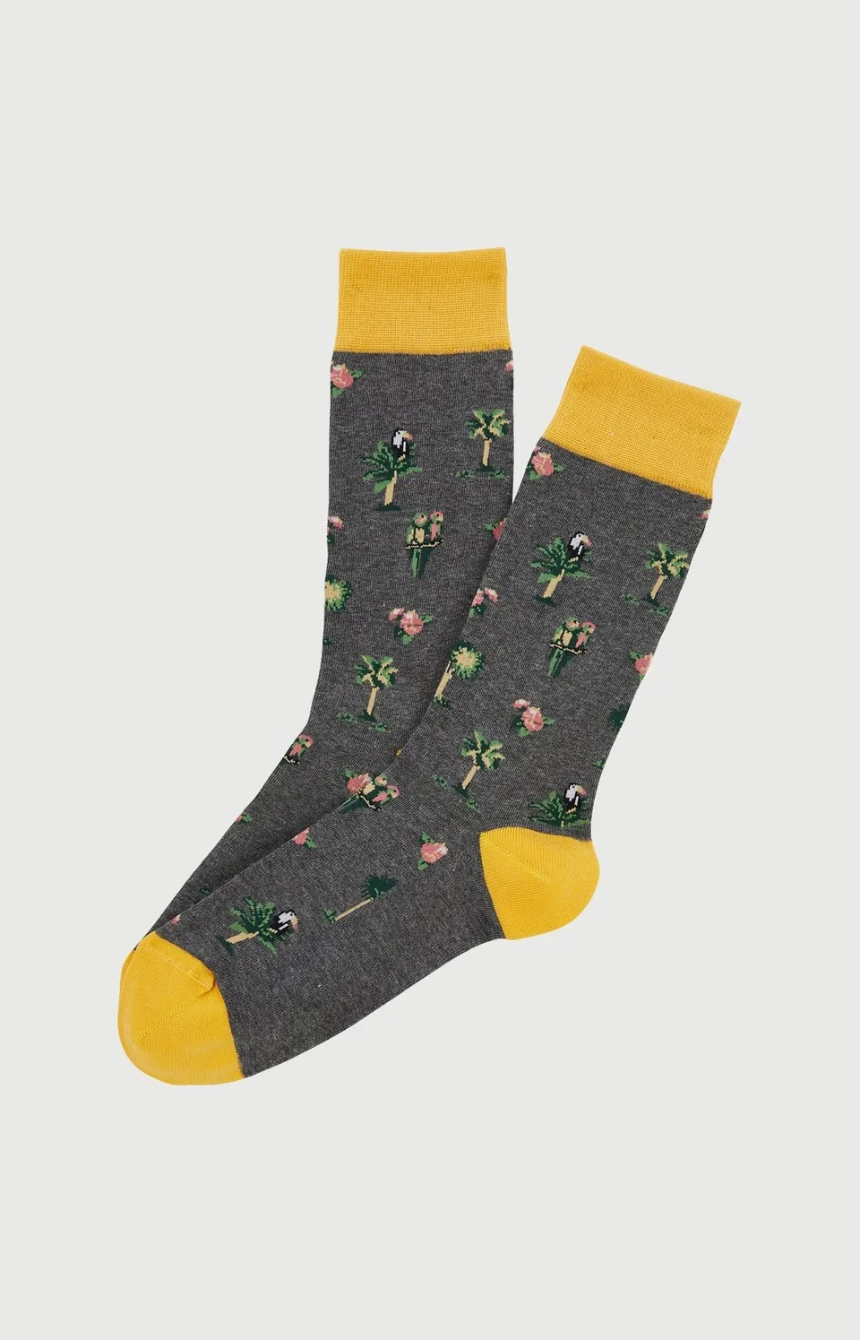arthur-bob-perroquet-gris-chaussettes-homme-coton-bio-gris image 1