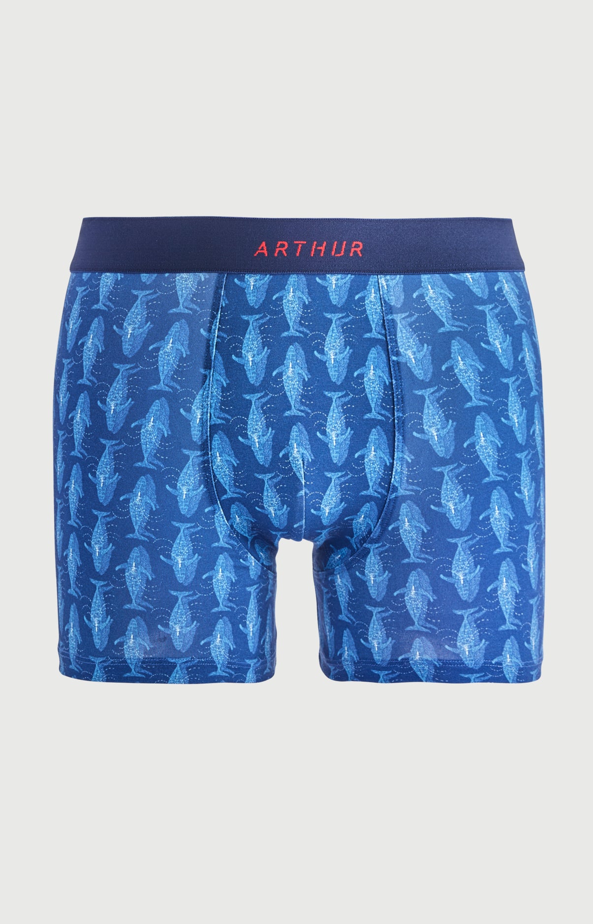 arthur-bob-pacifique-boxer-homme-coton-bio-marine image 3