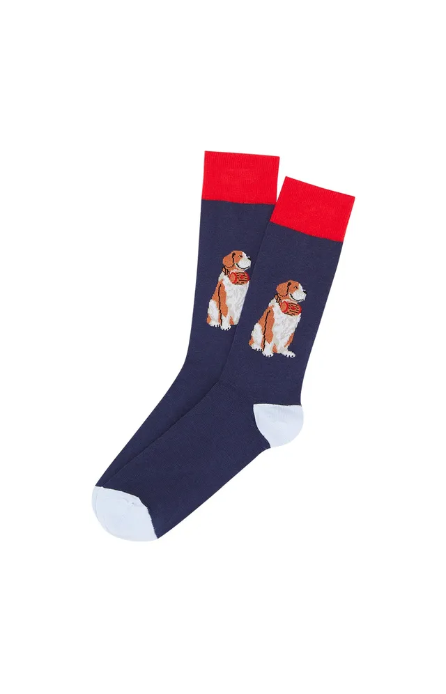 arthur-bob-wouf-marine-chaussettes-homme-coton-bio image 1
