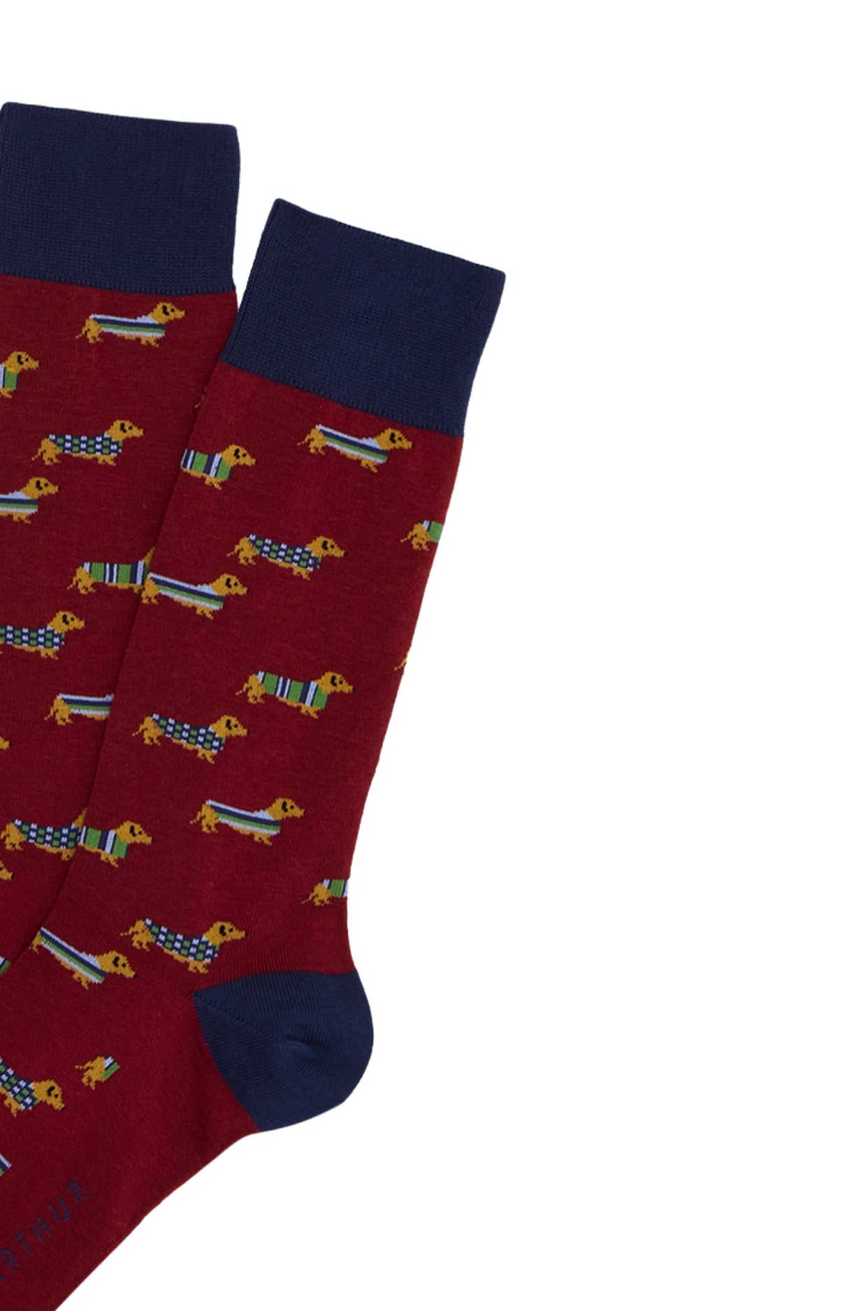 arthur-bob-teckel-chaussettes-homme-bordeaux-40-46-coton image 2