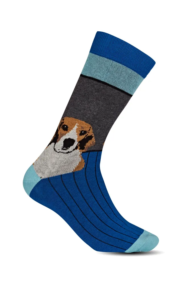 arthur-bob-beagle-chaussettes-coton-gris-40-46 image 1