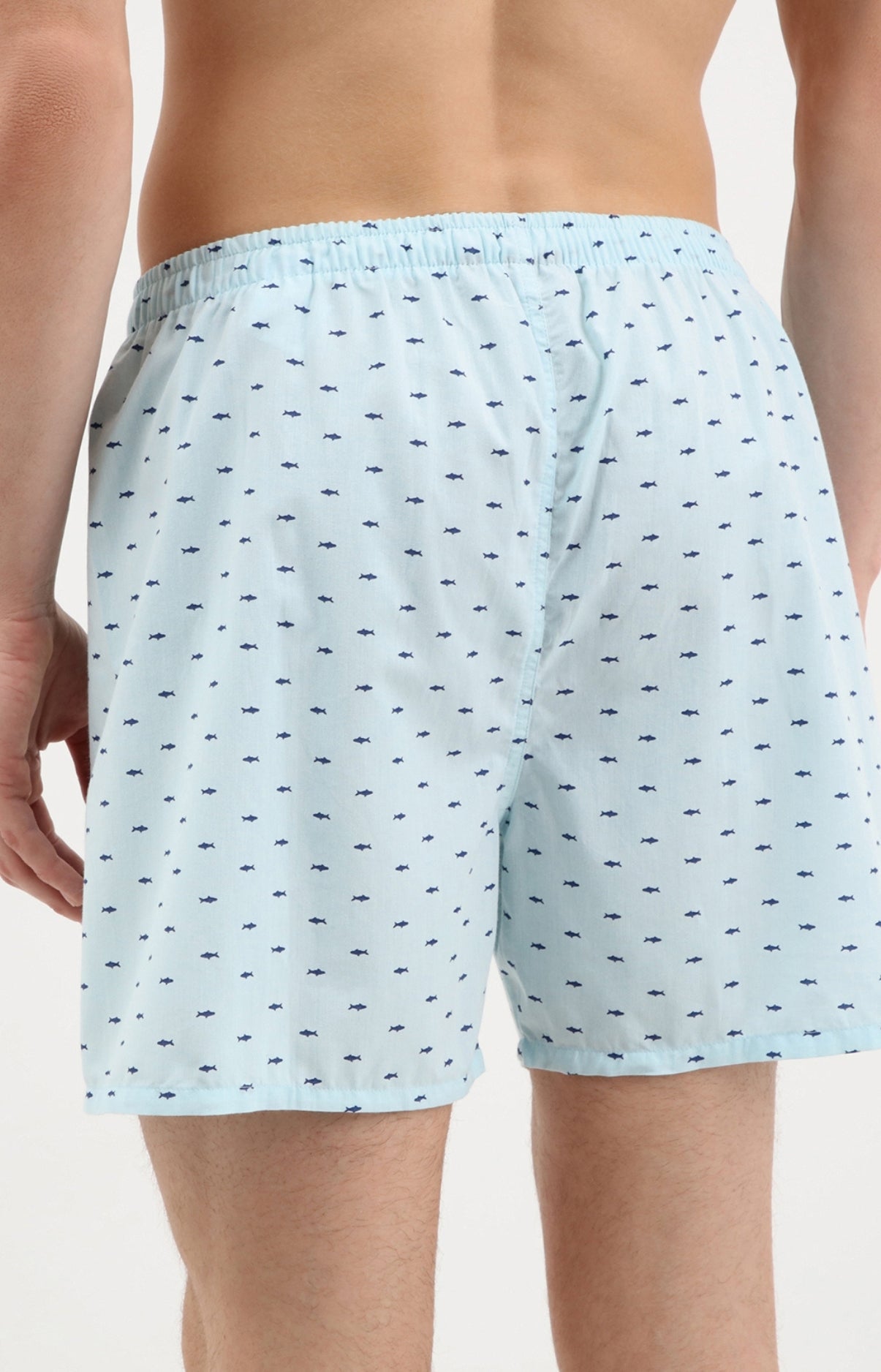 arthur-le-club-requin-cale-on-homme-coton-lagon image 3