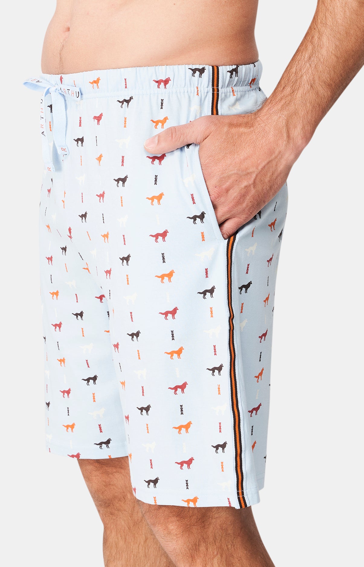 arthur-bob-jeune-loup-pyjashort-homme-ciel-coton-bio image 5
