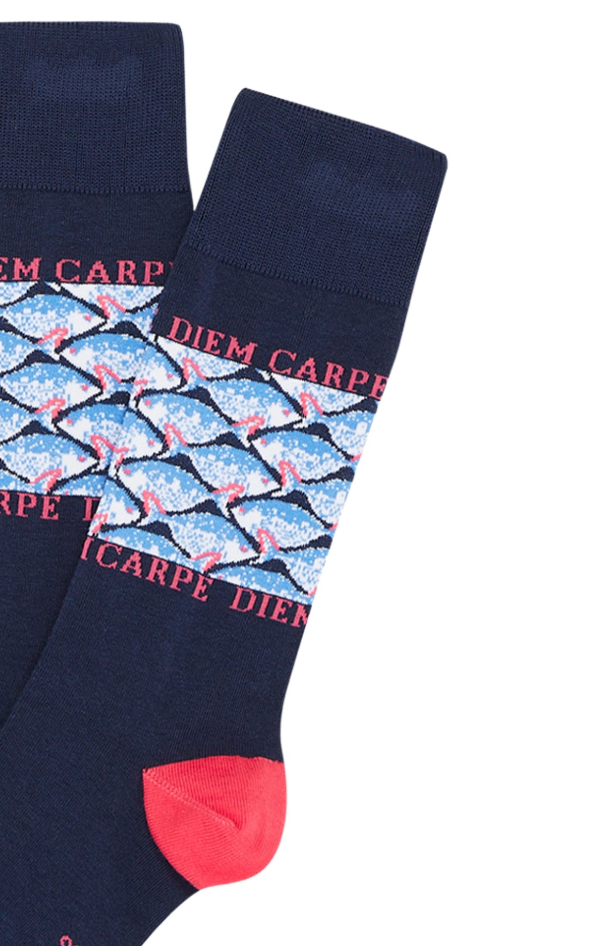arthur-bob-carpe-diem-chaussettes-coton-marine-motif-fantaisie image 2