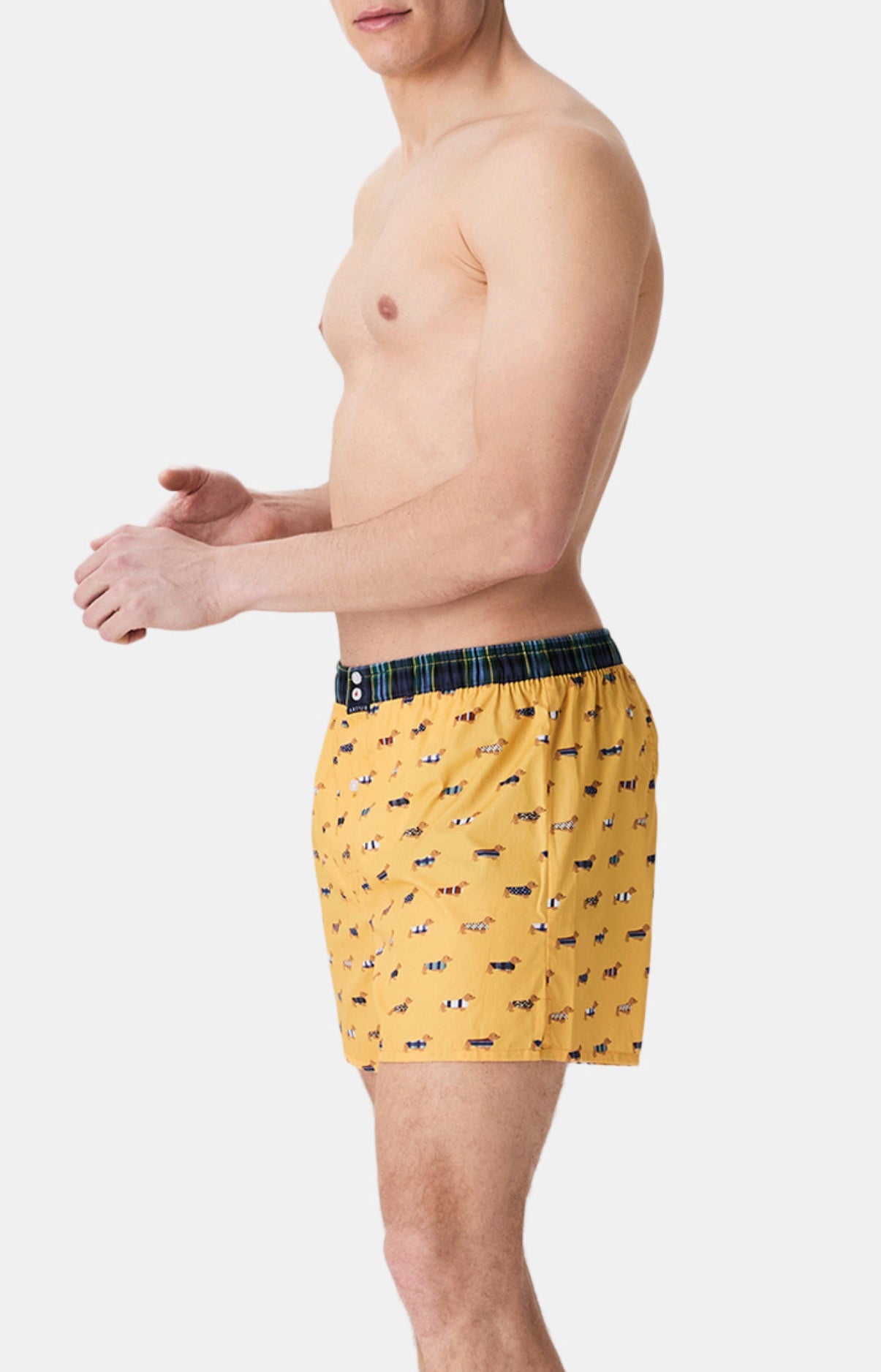 arthur-le-club-cale-on-n-1196-teckel-coton-bio-jaune image 5
