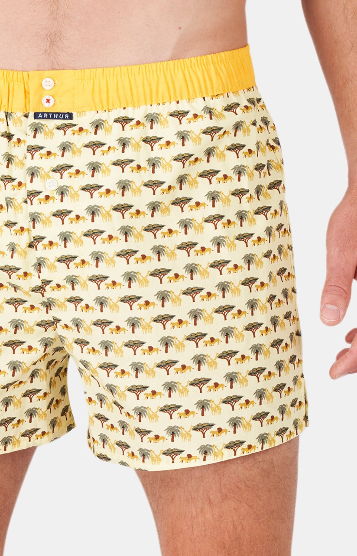 arthur-le-club-n-1110-cale-on-homme-jaune-m-coton-bio image 2