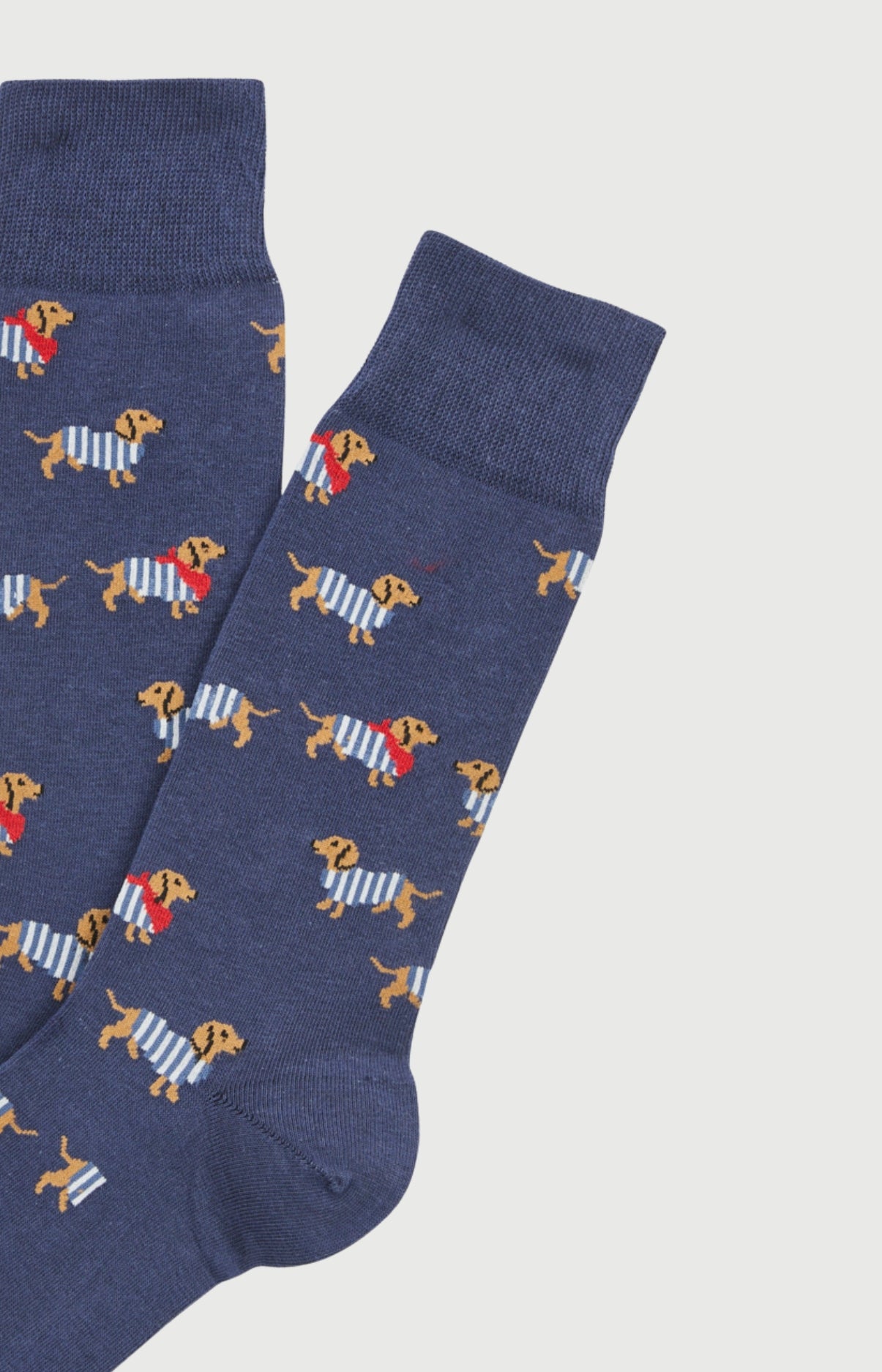 arthur-bob-tobbie-marine-chaussettes-teckel-40-46 image 2